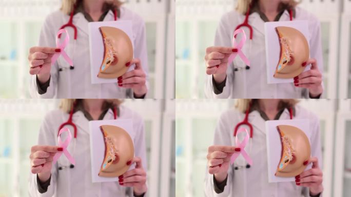 医生拿着乳房和粉色丝带的人造模型