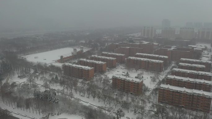 雪景 航拍 寿光 圣城街 大景