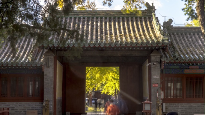 北京孔庙和国子监银杏秋景延时摄影