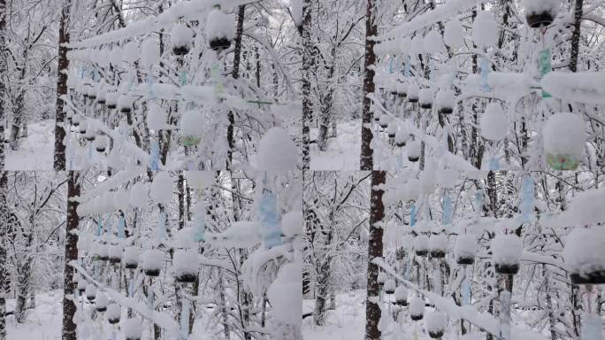 长白山雪后森林祈福铃铛