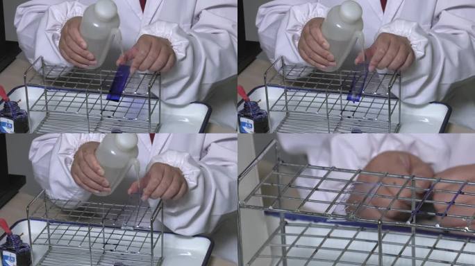 猪精液品质检查 清洗带有蓝墨水的载玻片