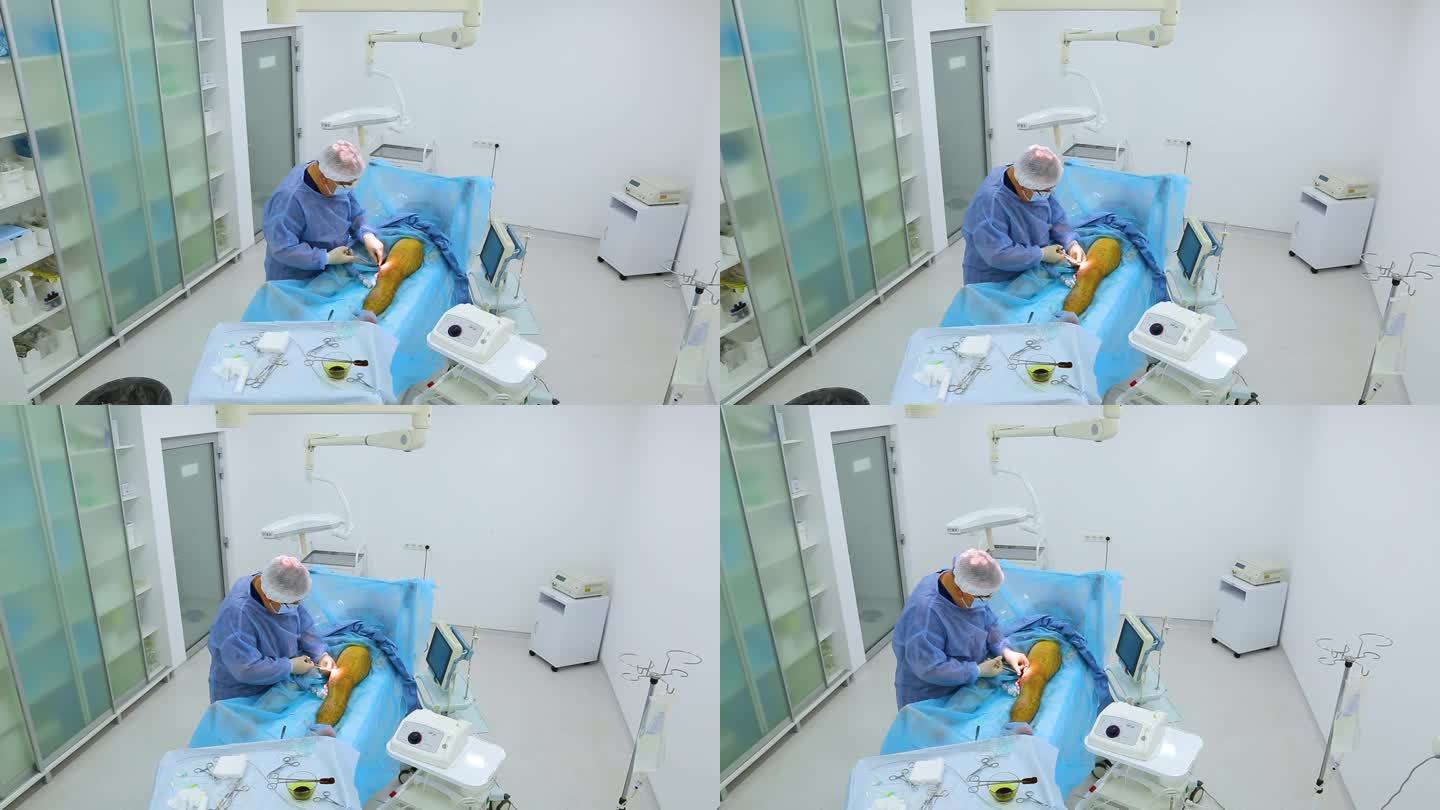 大隐静脉内激光光凝的外科手术。Miniphlegectomy。静脉内激光凝固静脉。