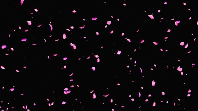 8K粒子花瓣飘落循环通道素材