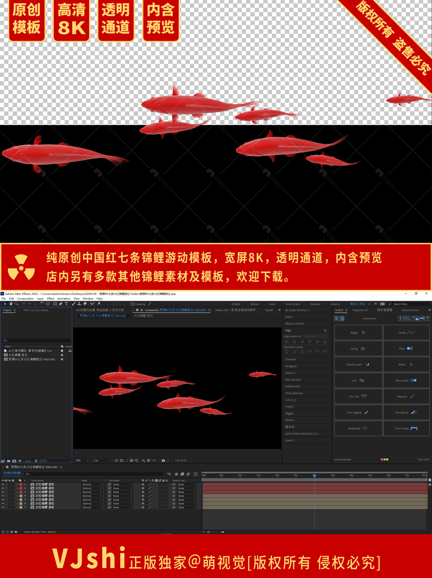 宽屏8K七条大红锦鲤鱼群游过模板