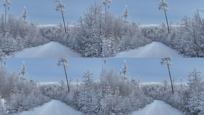 林海雪原雪林和山路