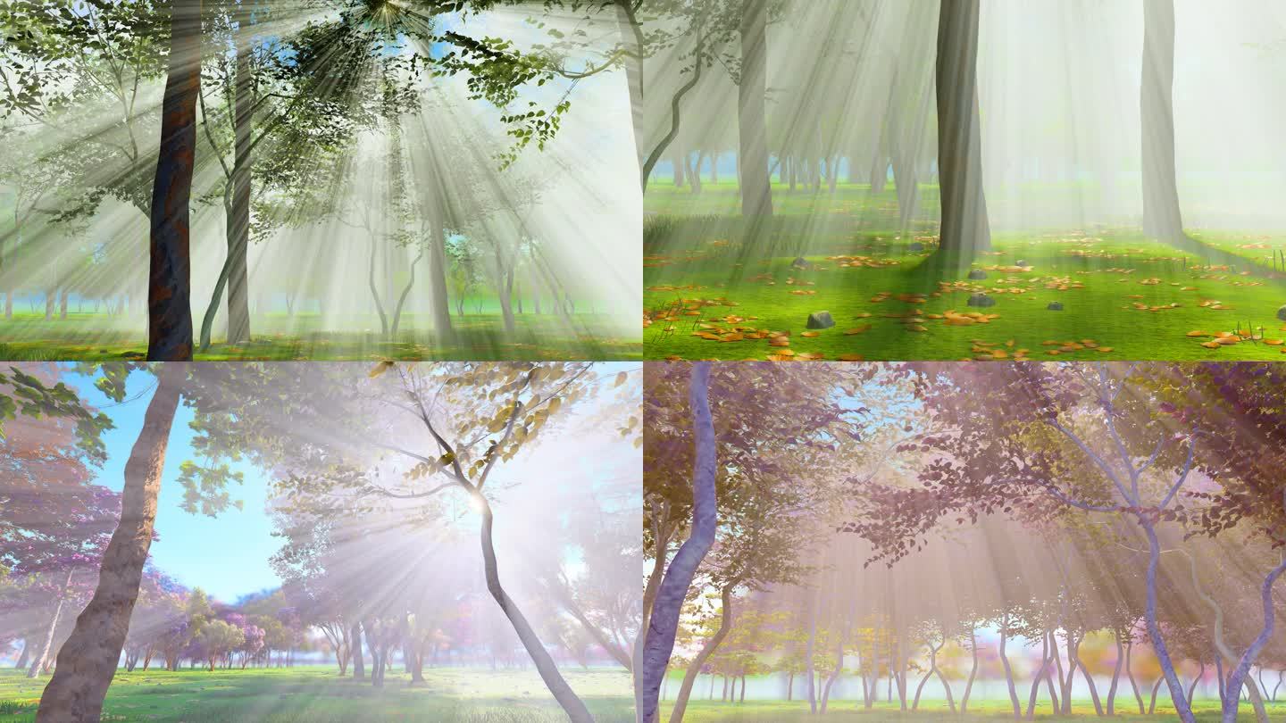 森林逆光丁达尔光线视频