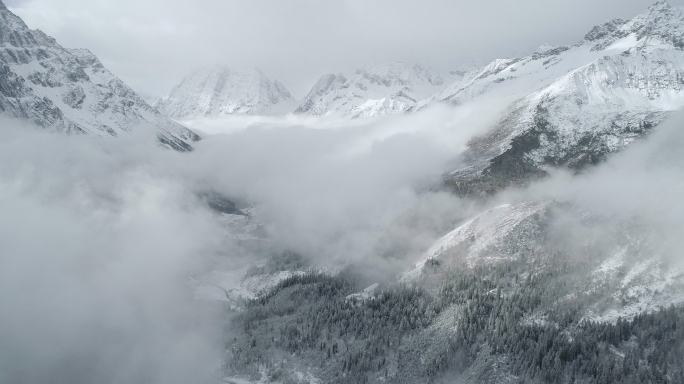 四姑娘山雪山山谷航拍云雾风景