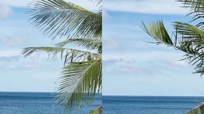 在晴朗晴朗的天气里，通过游泳池和椰子树的海景，泰国的海岸，蓝色的海岸