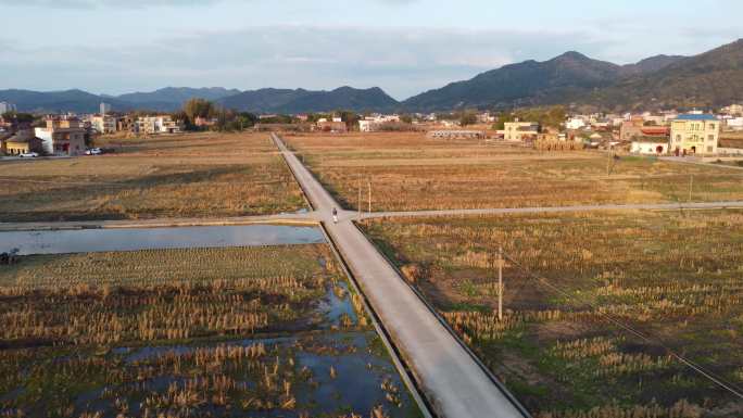 广东龙川 航拍 日落 光影 田野