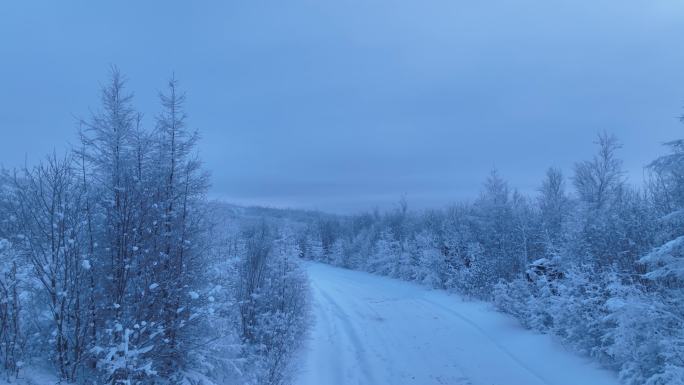 林海雪原雪林和山路