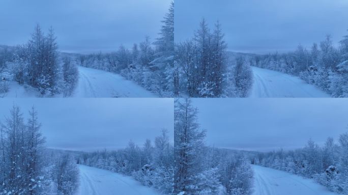 林海雪原雪林和山路