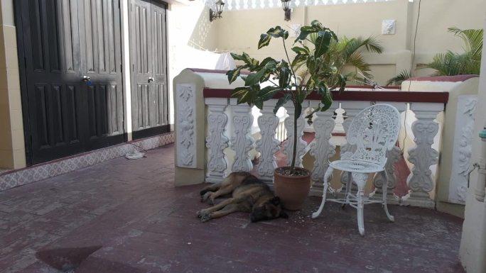 古巴西恩富戈斯人文餐厅椅子窗户地拍