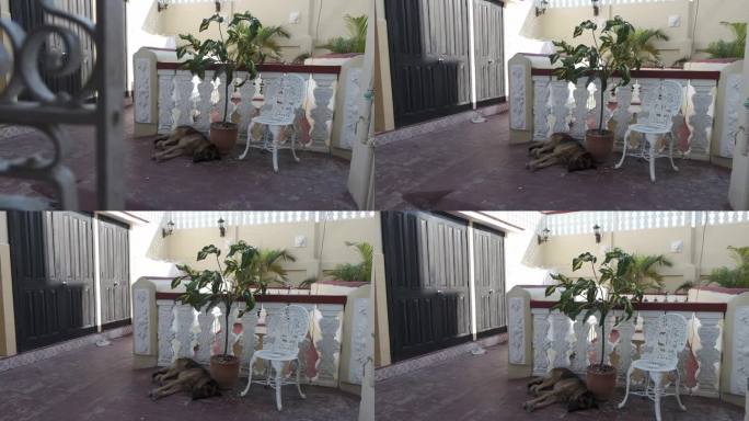古巴西恩富戈斯人文餐厅椅子窗户地拍