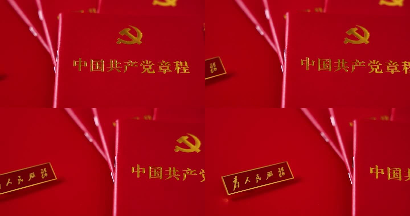 共产党章程 党建