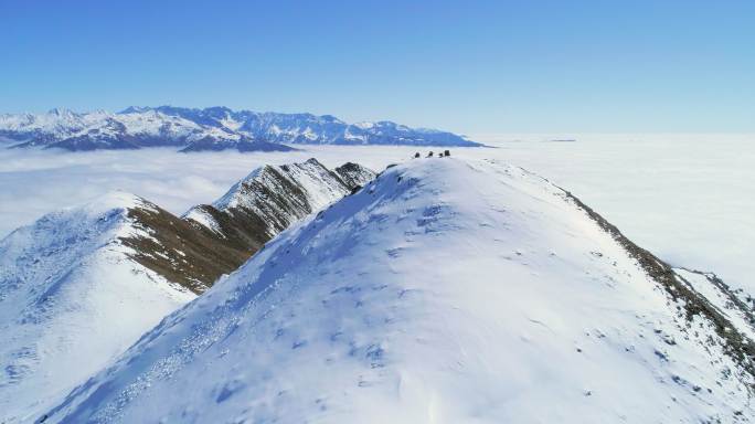 航拍冬季夹金山风景川西高原壮丽雪山景色