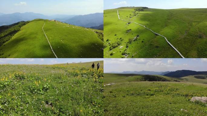 航拍山西历山保护区-9