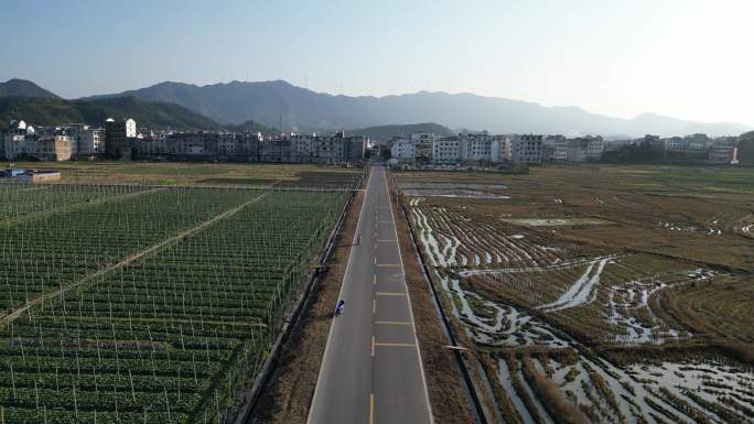 俯拍农田菜地  乡村风光  农村公路