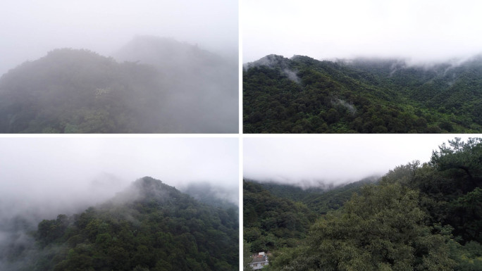 云海 山 雾气 森林 大自然 航拍