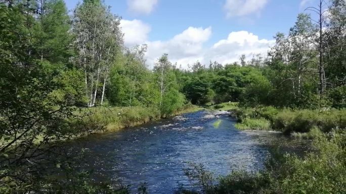 阿尔山国家森林公园风景