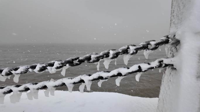 漫天飞舞的雪花下雪天海边