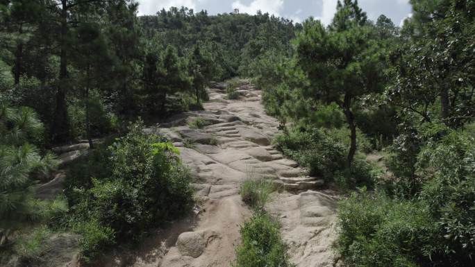 灵岩山 山体裸露 山体 植被