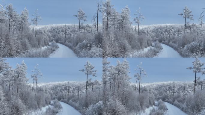 林海雪原雪林和山路