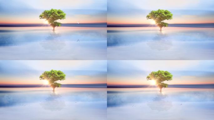 水面日出海面生命之树山水意境视频4K