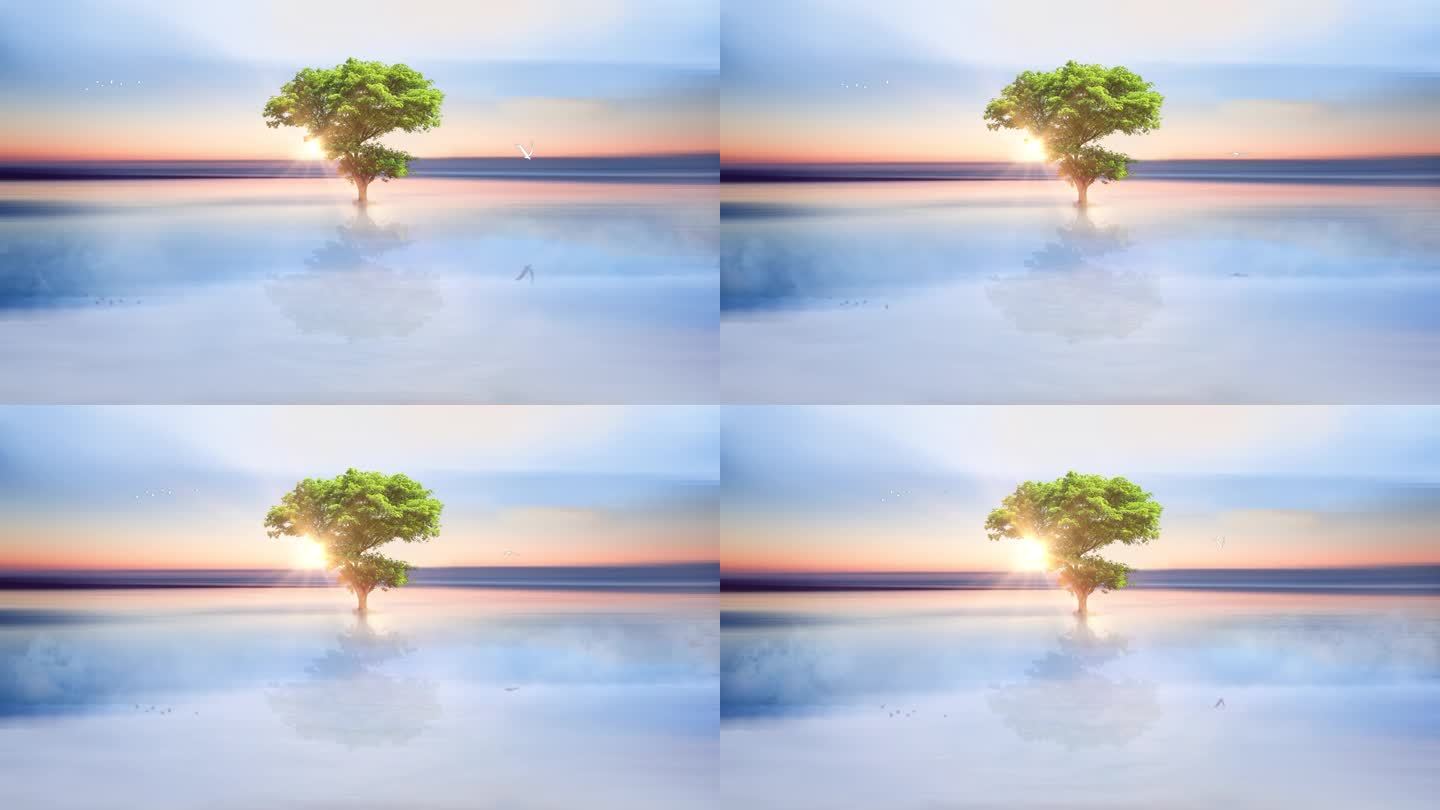 水面日出海面生命之树山水意境视频4K