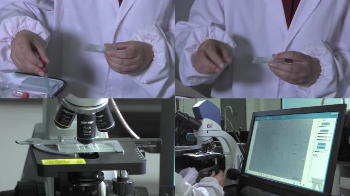 猪精液检查 取精液 放载玻片 显微镜检测