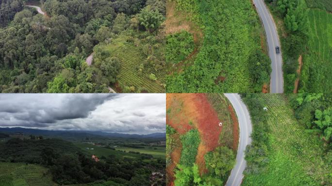 西双版纳勐腊普洱茶山热带雨林公路航拍4K