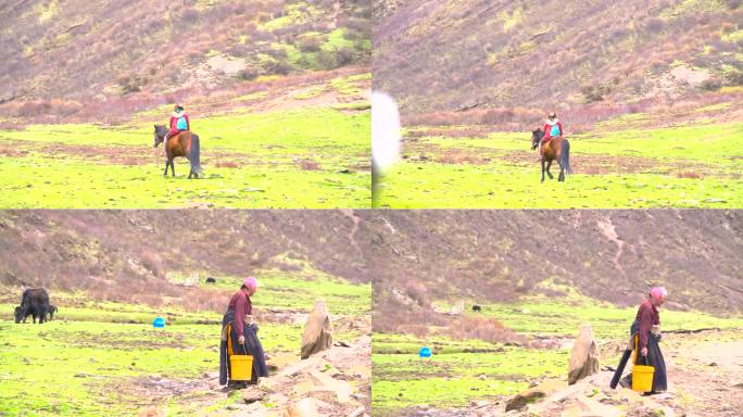 藏民骑马 藏民提水桶