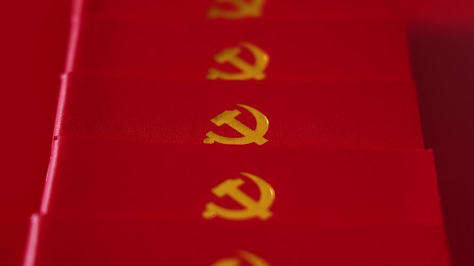 共产党章程 党建