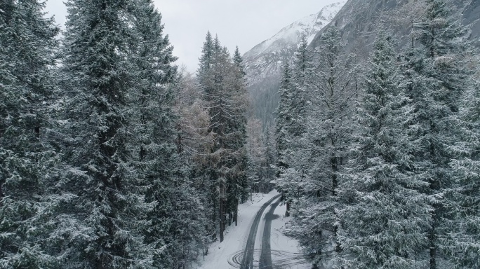 航拍四姑娘山景区雪地松林小路