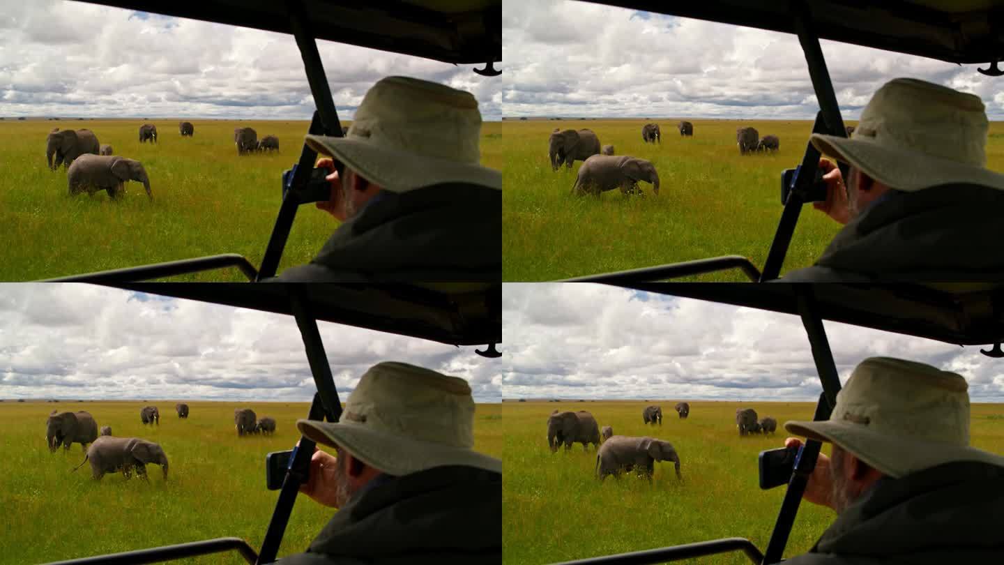 在塞伦盖蒂国家公园，一名男子在车上拍摄非洲象。游客在坦桑尼亚的森林里记录大象群