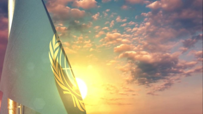 联合国的旗帜在美丽的夕阳背景下飘扬