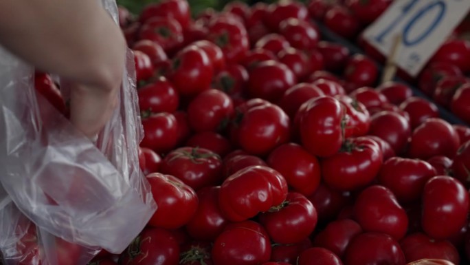 妇女在农贸市场买西红柿。在农贸市场的柜台上，塑料袋里装着新鲜的红西红柿