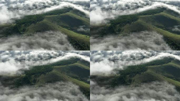 高山森林冷雾