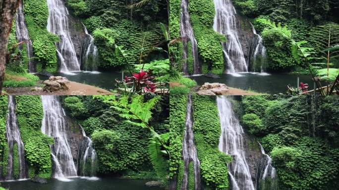 游览森林瀑布和池塘湿山的绿色自然。在丛林海岸，明亮的岩石林地或令人惊叹的雨林的清洁生态。色彩全景和瀑