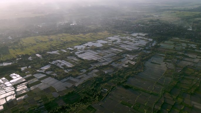 巴厘岛夏季农场的稻田景观和绿色自然。热带野生印尼山谷之美及有机稻田产业风光拍摄。民间旅游与农民生态种