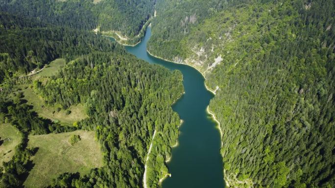 鸟瞰图:塞尔维亚扎瓦内被树林环绕的克鲁西卡湖