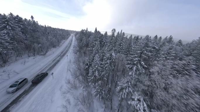 穿越机航拍东北冬天雾凇空镜景色自然长白山