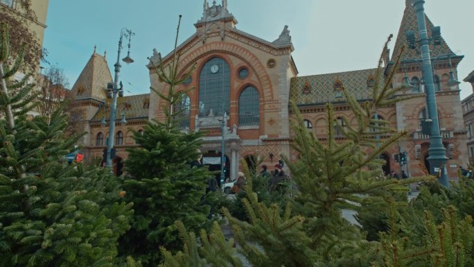 匈牙利布达佩斯中央市场大厅大楼外出售的低角度手持拍摄的圣诞树。Nagy Vasarcsarnok