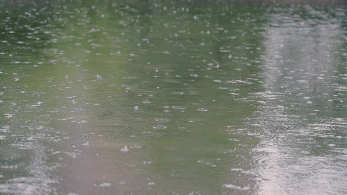 下雨天雨滴坠落滴落击打树叶