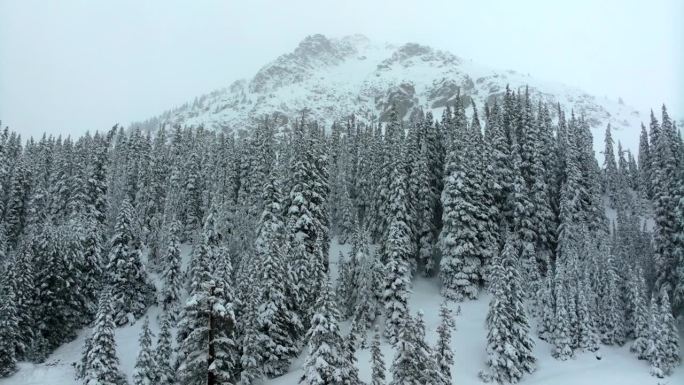 深粉雪电影航拍科罗拉多洛夫兰滑雪场艾森豪威尔隧道库恩山荒郊野外1970年冬季大雪春雪大陆分水岭落基山