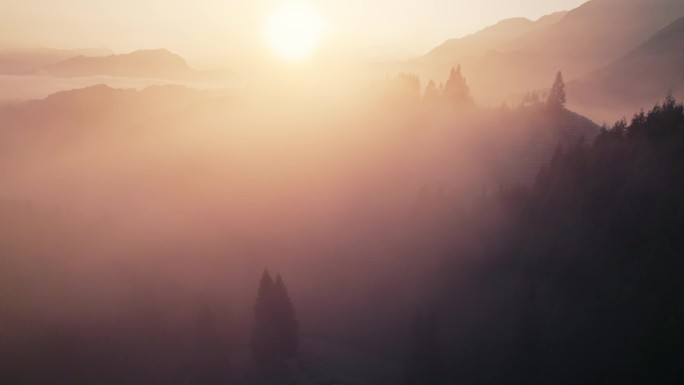 黎明茶山拨云见日