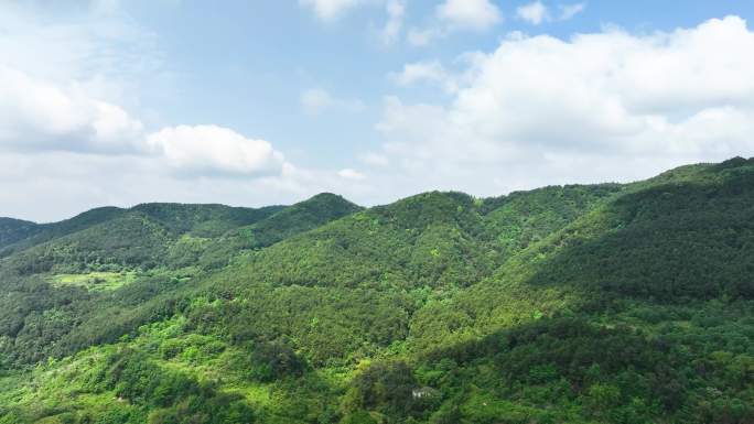 航拍绿色生态山川森林湖泊水库