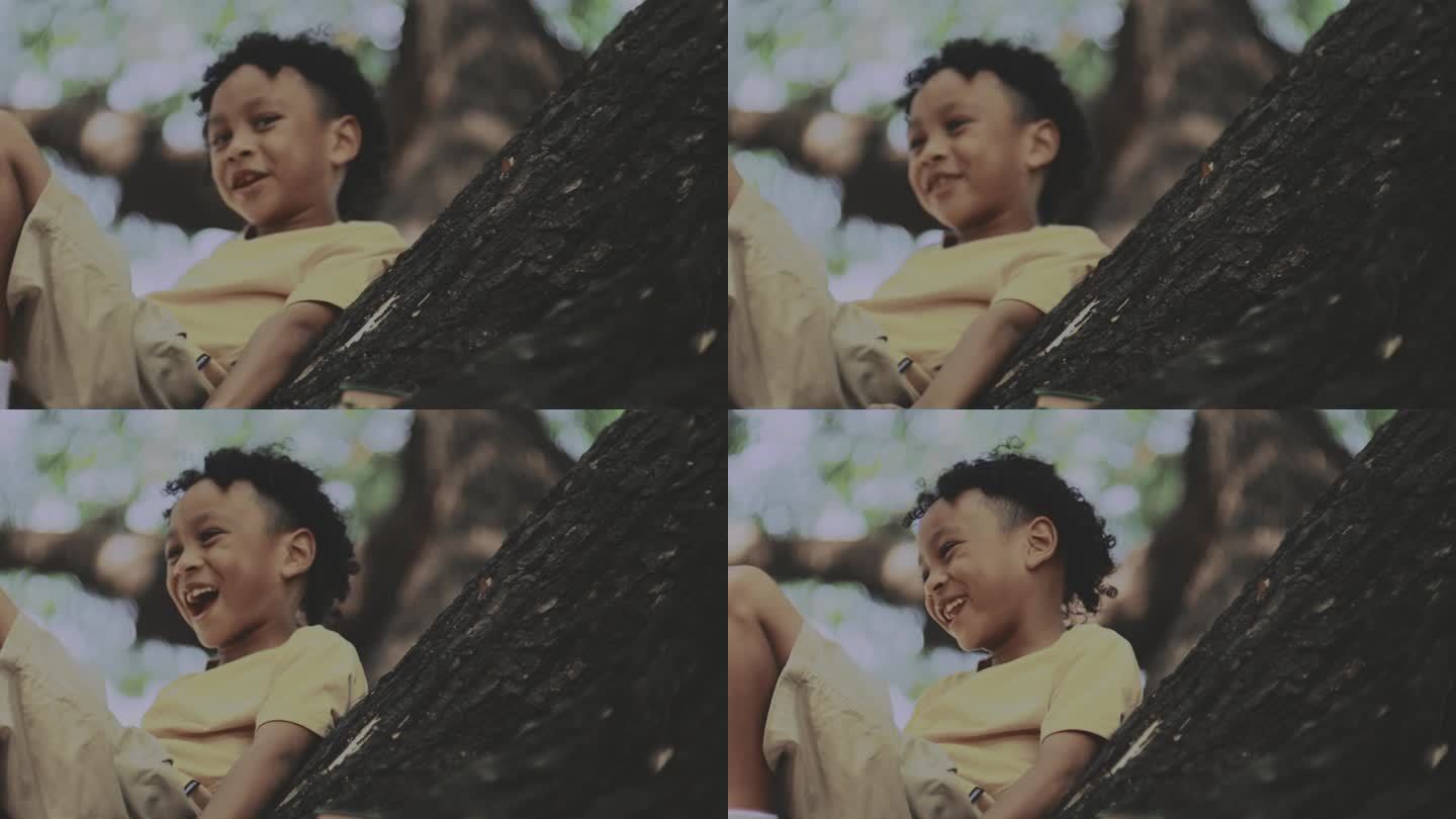 一个男孩在树上玩看镜头