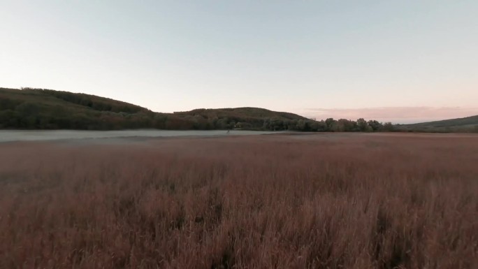 无人机拍摄的画面描绘了匈牙利巴拉顿湖附近雾蒙蒙的湿地。无人机靠近一个木制的狩猎瞭望台，在夜色笼罩的草