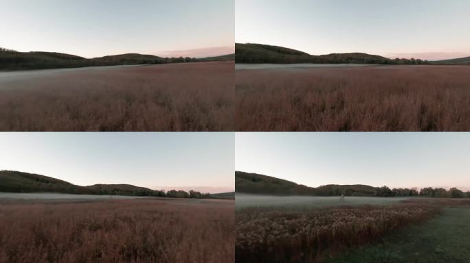 无人机拍摄的画面描绘了匈牙利巴拉顿湖附近雾蒙蒙的湿地。无人机靠近一个木制的狩猎瞭望台，在夜色笼罩的草