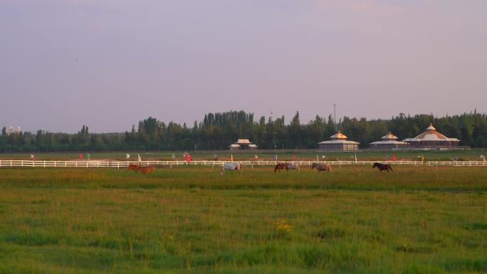 草原牛马道路